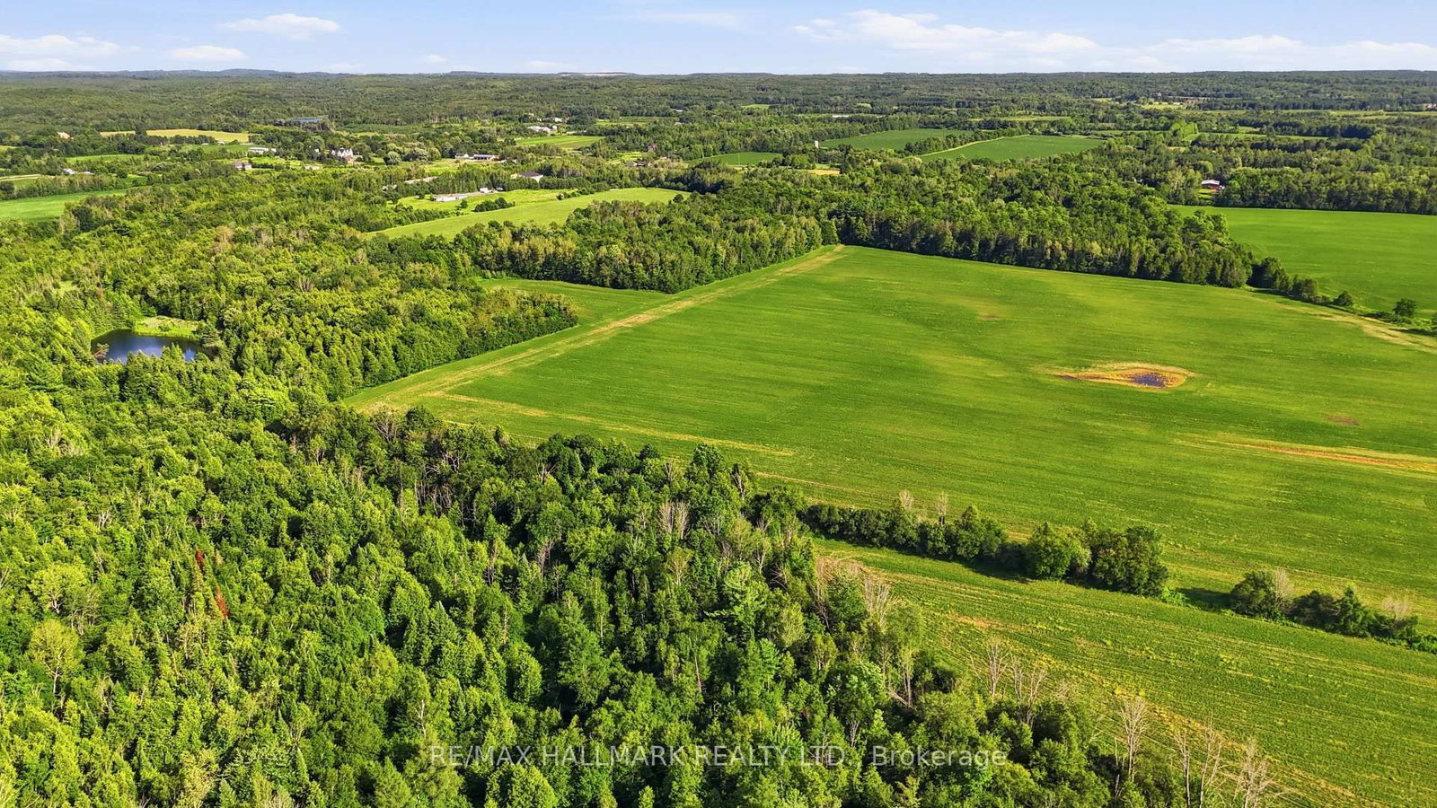 17236 Kennedy Rd, Whitchurch-Stouffville — 8